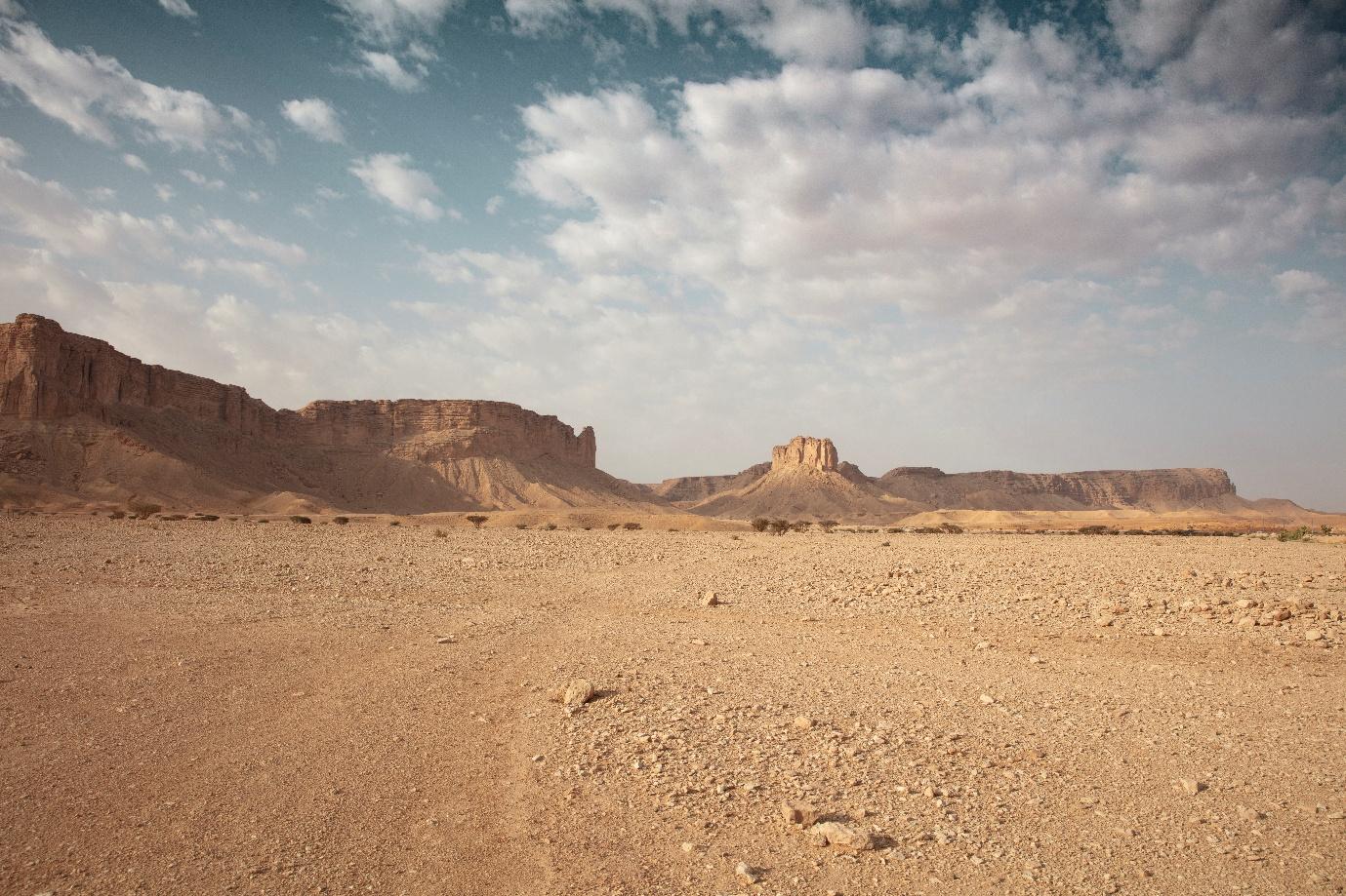 Consulting in the Middle East: How Firms Are Powering Economic Transformation 2 Middle East consulting market