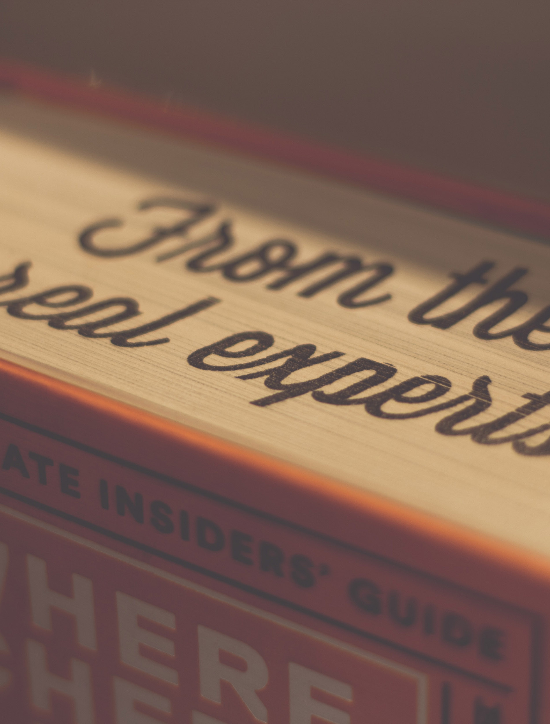 rita-morais-fJLyQ81u80Y-unsplash Overview